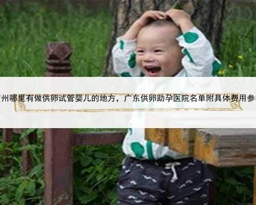 广州哪里有做供卵试管婴儿的地方，广东供卵助孕医院名单附具体费用参考