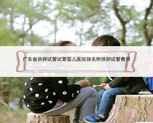 广东省供卵试管试管婴儿医院排名附供卵试管费用